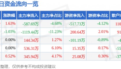 股票行情快报：华金资本（000532）8月11日主力资金净卖出587.69万元