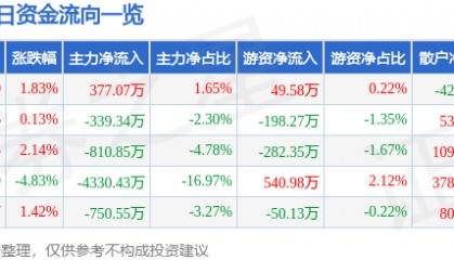 股票行情快报：华西股份（000936）2月21日主力资金净买入377.07万元