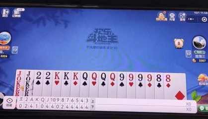 记牌器玩转微乐斗地主？高胜率全自动记牌，解决斗地主黑屏问题