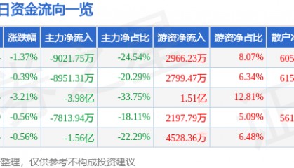 股票行情快报：广汇能源（600256）9月3日主力资金净卖出9021.75万元