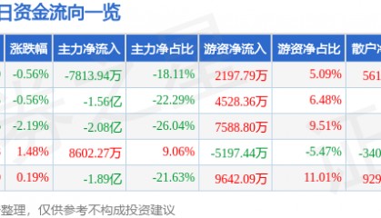股票行情快报：广汇能源（600256）8月29日主力资金净卖出7813.94万元