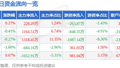 股票行情快报：皖能电力（000543）6月24日主力资金净买入228.29万元