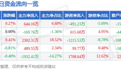 股票行情快报：皖能电力（000543）6月6日主力资金净买入644.16万元