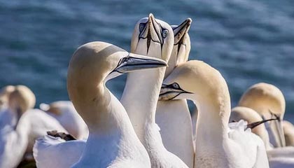 海默科技股价下跌4.88% 实控人变更为范中华