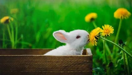 海默科技股价涨5.19%，前海开源基金旗下1只基金重仓，持有107.24万股浮盈赚取45.04万元