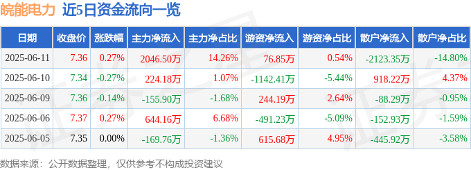 股票行情快报：皖能电力（000543）6月11日主力资金净买入2046.50万元